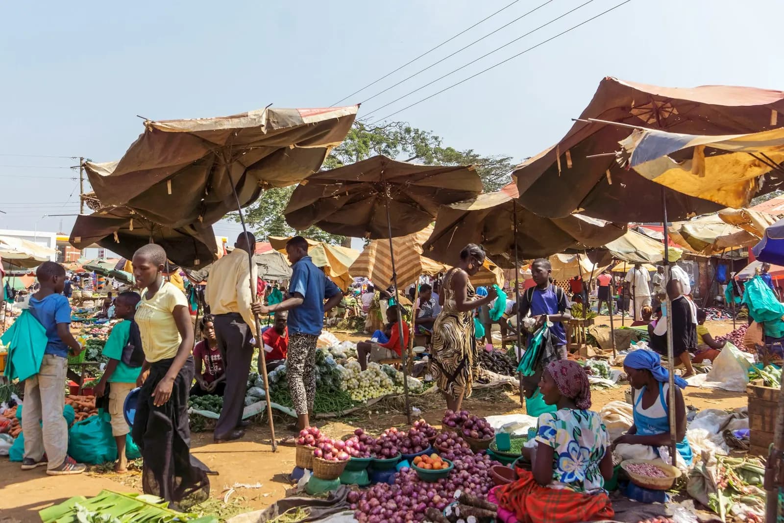 An open-air produce market