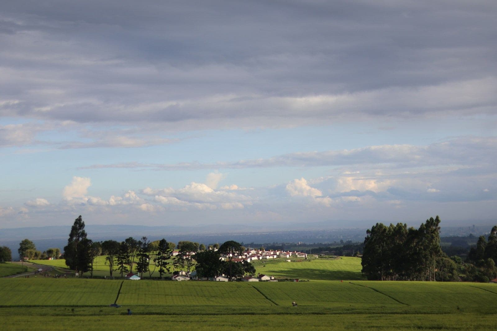 Farmland in the highlands