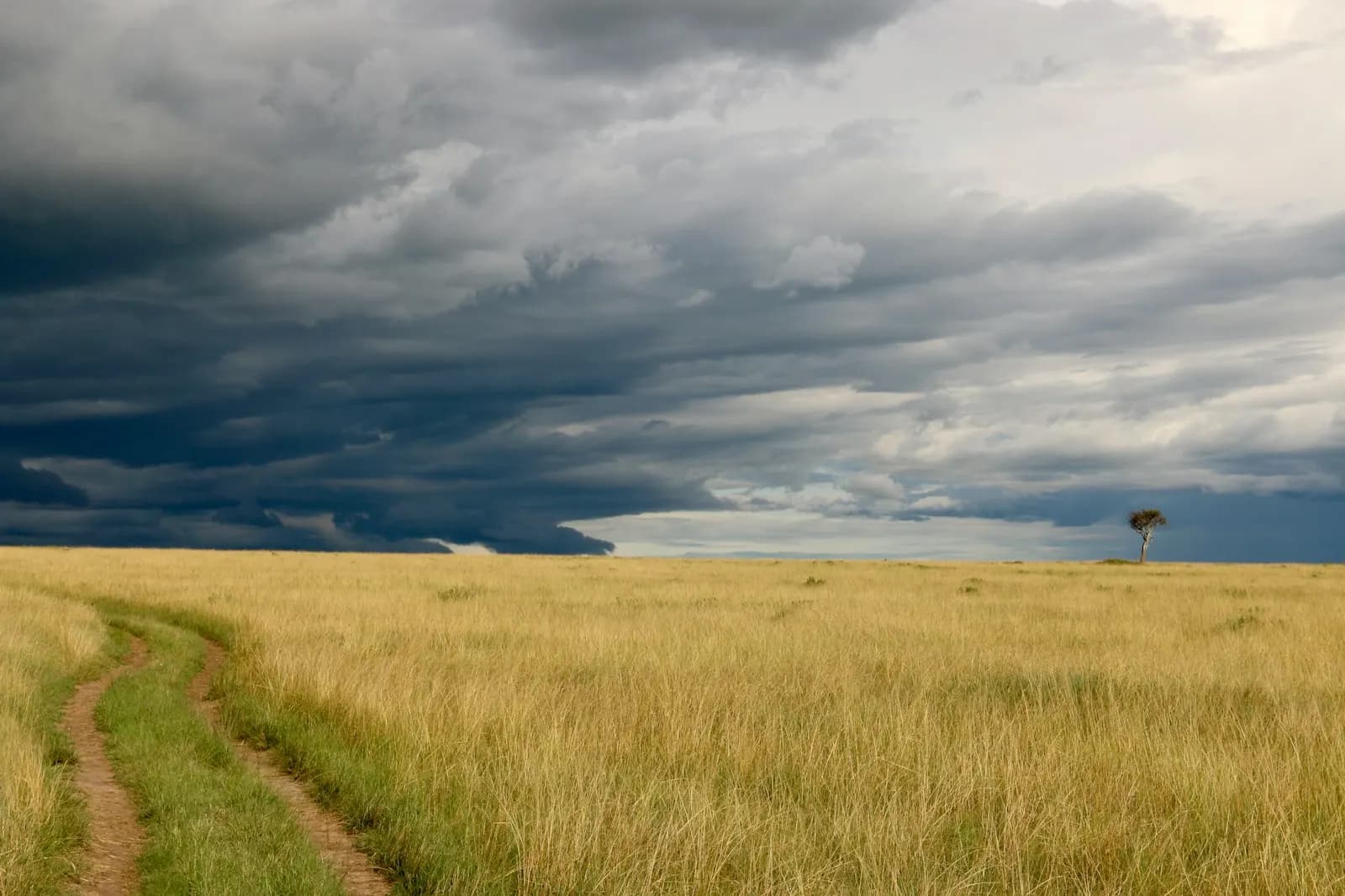 Storm clouds over grassland